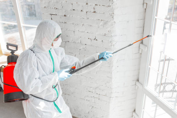 Mission, KS Mold Removal & Remediation Company